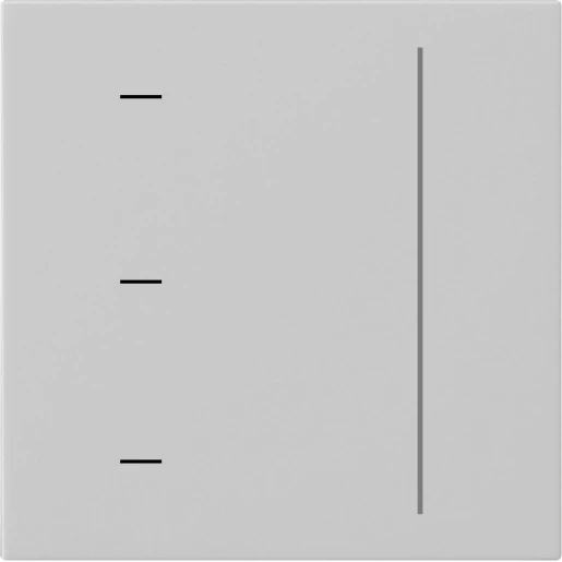 Gira System 55 s3000 touch opzetstuk enkelvoudig Mat grijs 5365015