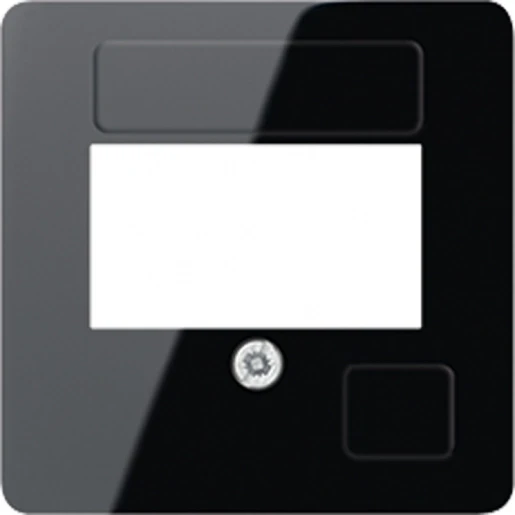 Jung Afdekking 50x50 USB21-2 TAE 1 connector Zonder label zwart 169TSW
