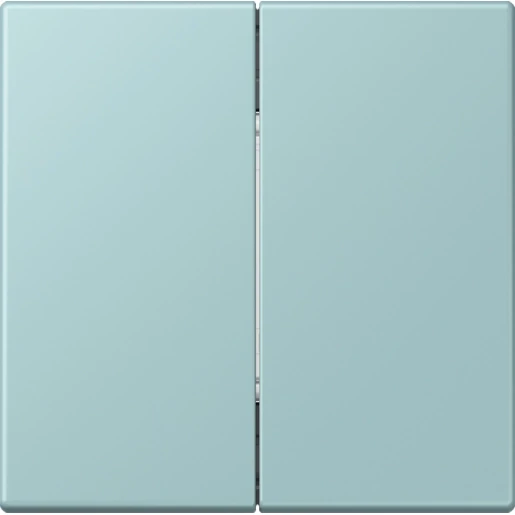 Jung LS range Friends of Hue wandzender 4-kanalen FOHLC995214