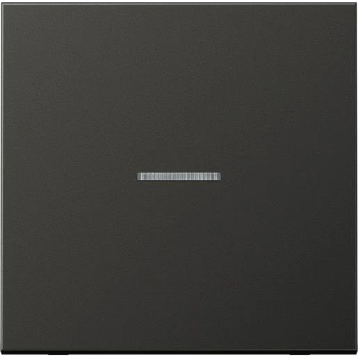 Jung LS range tastafdekking standaard enkelvoudig Mat antraciet RAL 7016 FMAL1700AN