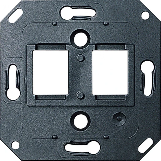 Gira Non-Design Draagring MJ 2-v MJ ITT Canon+Panduit Zonder label 019700