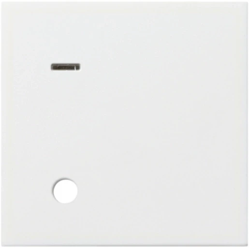 Gira System 55 miva centraalplaat oproepsysteem ackermann 70045 a3 wit RAL 9010 023327