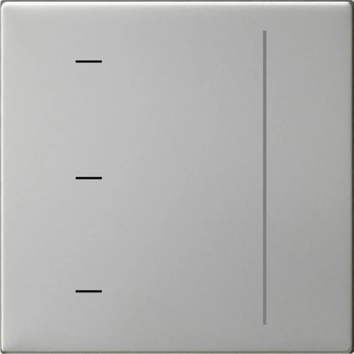 Gira System 55 s3000 touch opzetstuk edelstaal enkelvoudig RVS 5365600