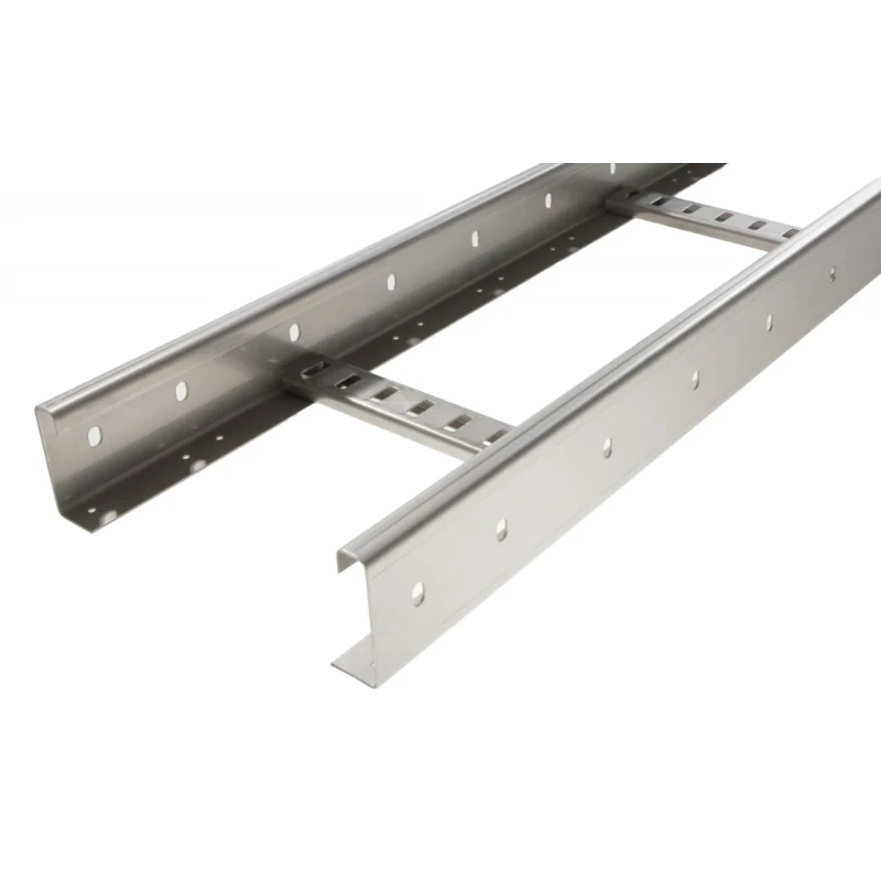 Gouda Holland KABELLADDER 3000x200x60mm 56002636