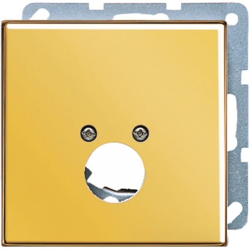 Jung LS range Afdekking voor 1 BNC chassisdeel Luidsprekeraansluiting 1 connector MetaalZonder label goud GO2962-1