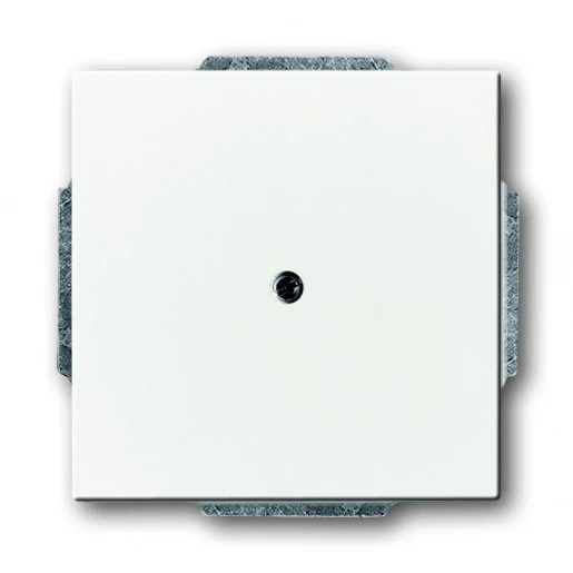 ABB Busch-Jaeger Future, Solo, Axcent, Carat centraalplaat 1x uit boring Leidinguitvoer Bedieningselement Zonder label wit 2CKA001710A3163
