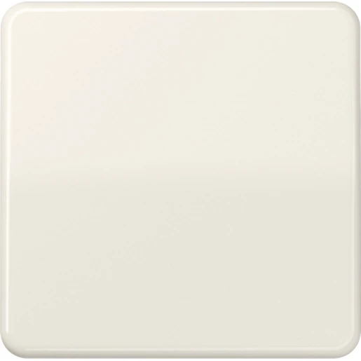 Jung CD range stuurafdekking standaard cd500 enkelvoudig Glanzend wit RAL 1013 CD1700