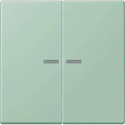 Jung LS range Home stuurafdekking LC32041 2-voudig Mat BTLC17102217