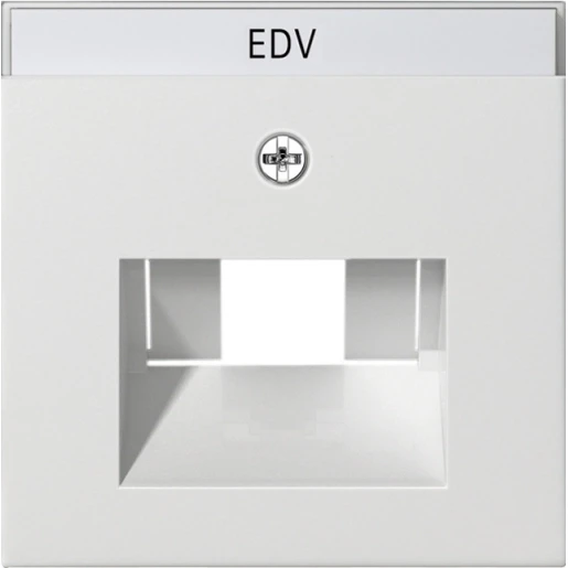 Gira System 55 afdekking tk netwerkaansluitdoos mat UAE/IAE Centraalplaat Met label wit 028427