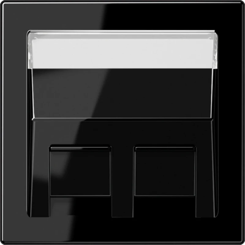 Jung LS range afdekking ls990 Centraalplaat 2 connectoren Met label zwart LS569-30BFPLSW