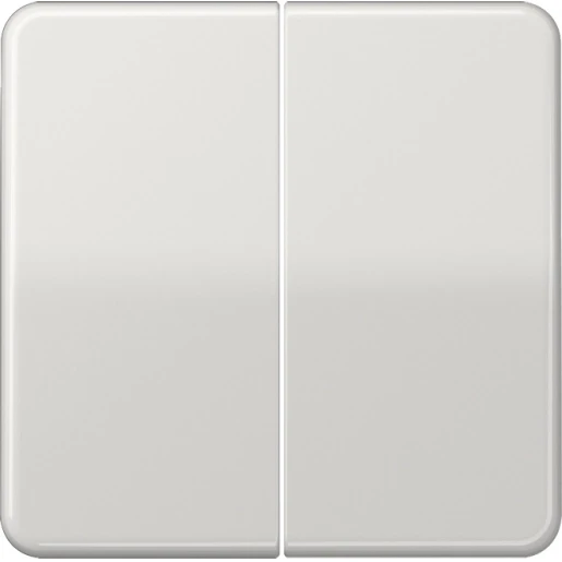 Jung CD range tastafdekking cd500 licht grijs 2-voudig Glanzend grijs RAL 7035 CD1702LG