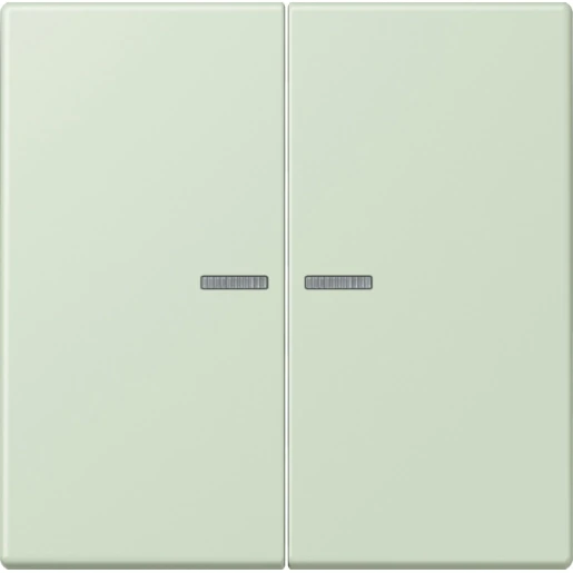 Jung LS range Home stuurafdekking LC32042 2-voudig Mat BTLC17102218