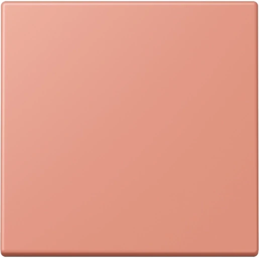 Jung LS range EnOcean wandzender 2-kanalen ENOLC990233