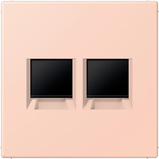 Jung LS range Afdekking centraalplaat AMP Radiall LC32112 Modular-Jack 2 connectoren Zonder label LC1969-2WE234