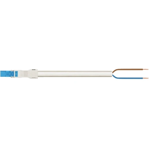 Wago SERIE 891 Patchkabel gebouwinstallatie 2p Stekker Vrij kabeluiteinde 6000mm