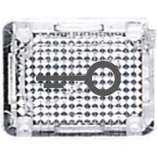 Jung WG 800 inzetstuk contactdoos wg600/800/ap helder sleutel Symbool "sleutel/deur" 33KLART