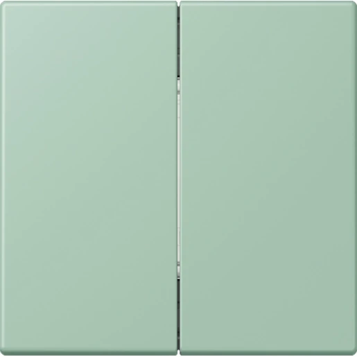 Jung LS range Friends of Hue wandzender 4-kanalen FOHLC995217