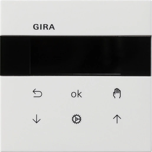 Gira F100 s3000 jaloezie- en schakelklok display zuiver wit 2-voudig Glanzend wit RAL 9010 5366112