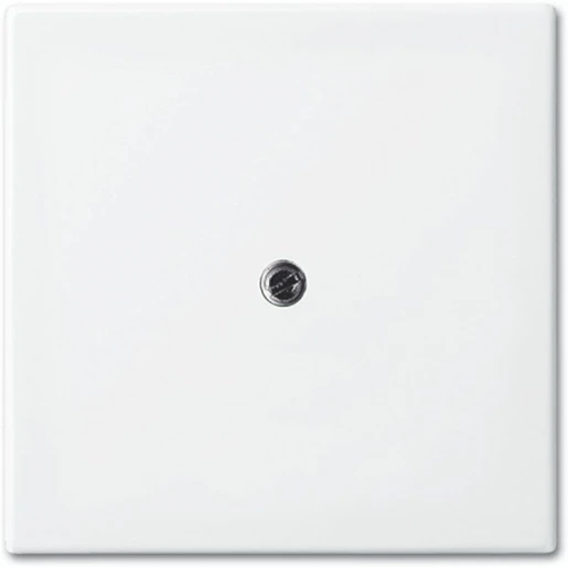 ABB Busch-Jaeger Balance centraalplaat 1x uit boring 10mm Centraalplaat Zonder label wit 2CKA001724A4338