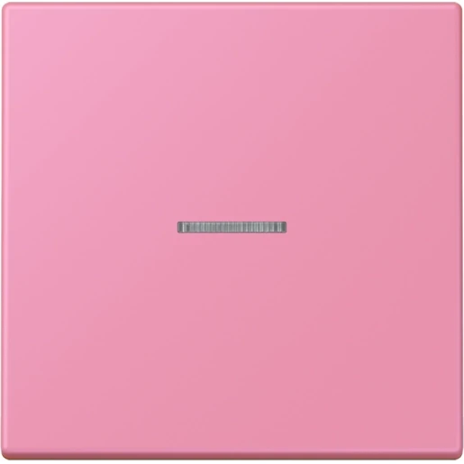 Jung LS range Home stuurafdekking LC4320C enkelvoudig Mat BTLC17101246