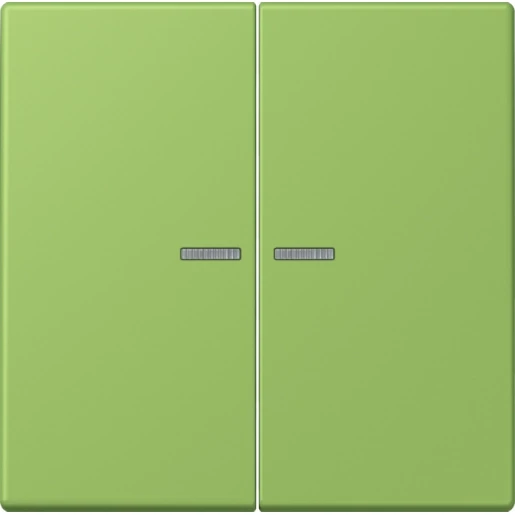 Jung LS range Home stuurafdekking LC32051 2-voudig Mat BTLC17102220