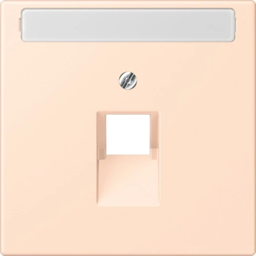 Jung LS range Afdekking centraalplaat LC32091 UAE/IAE 1 connector Met label LC969-1NAUA228