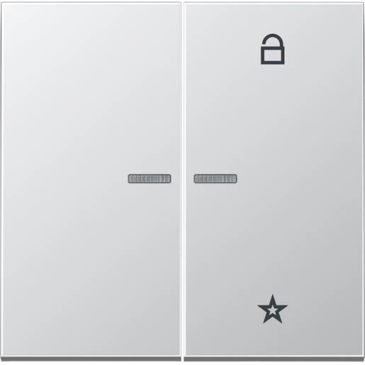 Jung LS range tastafdekking 2-voudig Mat aluminium FMAL1701