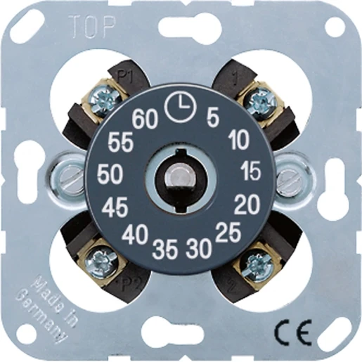Jung Timer 60 min 2-pol 16 A m.verbr contact