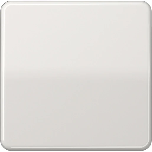 Jung CD range stuurafdekking standaard cd500 enkelvoudig Glanzend grijs RAL 7035 CD1700LG