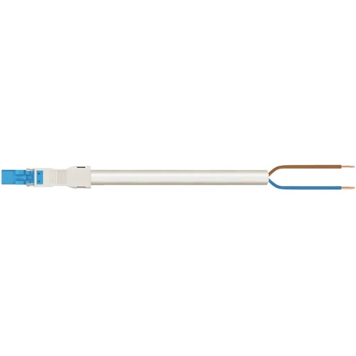 Wago SERIE 891 Patchkabel gebouwinstallatie 2p Stekker Vrij kabeluiteinde 8000mm