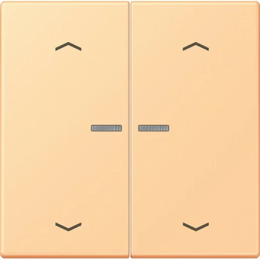 Jung LS range Home stuurafdekking pijl LC4320P 2-voudig Mat BTLC17102P258