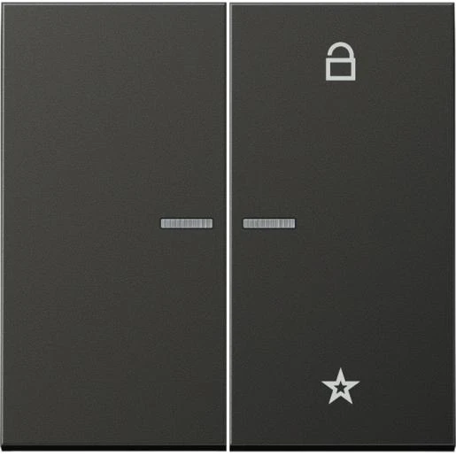 Jung LS range tastafdekking 2-voudig Mat antraciet FMAL1701AN