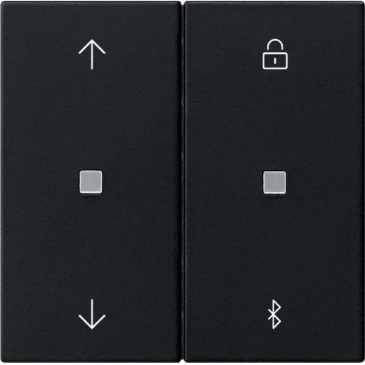 Gira System 55 s3000 jaloezie- en schakelklok bluetooth 2-voudig Mat zwart 5367005