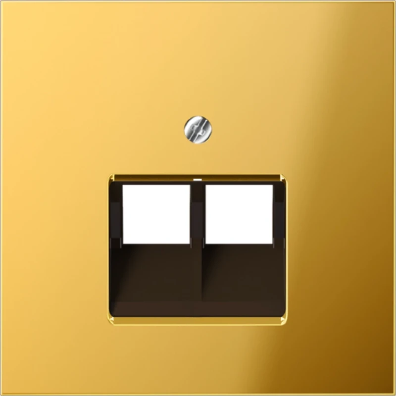 Jung LS range Centraalplaat- (onderdeel) afdekking 2-voudig UAE/IAE 2 connectoren MetaalZonder label goud GO2969-2UA