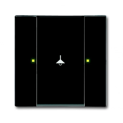 ABB Busch-Jaeger KNX, Future, Carat Tastsensor multifunctioneel KNX enkelvoudig antraciet met tekstv IP20 RAL 7021 2CKA006115A0193