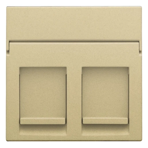 Niko Pure Centraalplaat data RJ Modular-Jack Centraalplaat 2 connectoren Zonder label goud 221-65200