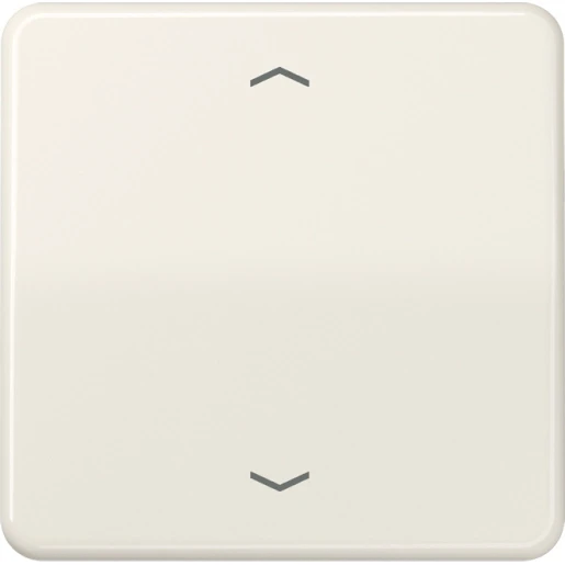 Jung CD range Afdekking CD500 standaard voor 1730JE enkelvoudig Glanzend wit RAL 1013 CD1700P