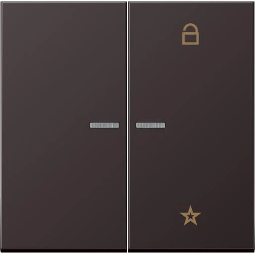Jung LS range tastafdekking dark 2-voudig Mat aluminium FMAL1701D