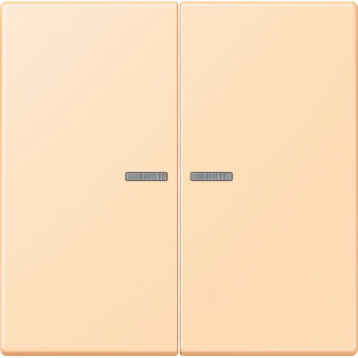 Jung LS range Home stuurafdekking LC32060 2-voudig Mat BTLC17102223
