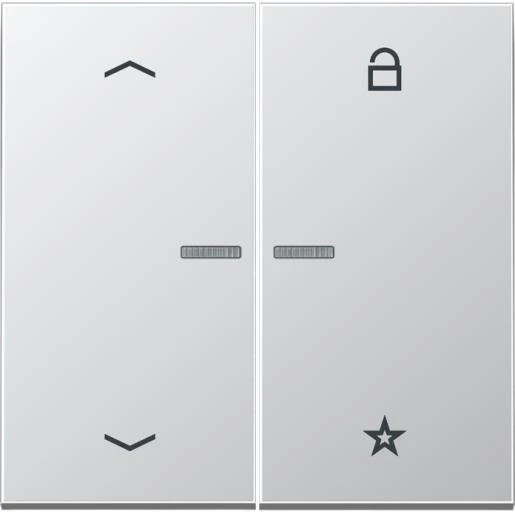 Jung LS range tastafdekking pijlen 2-voudig Mat aluminium FMAL1701P
