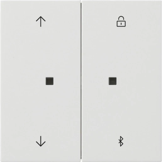 Gira F100 s3000 jaloezie- en schakelklok bluetooth zuiver wit 2-voudig Glanzend wit RAL 9010 5367112