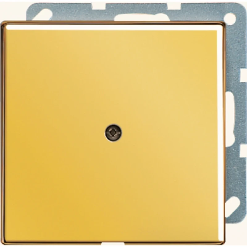 Jung LS range Afdekking + kabelinvoerplaat Leidinguitvoer Basiselement met centrale afdekplaat MetaalZonder label goud GO2990A