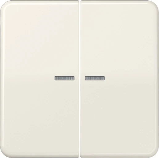 Jung CD range Knx RF-tastafdekking KNX 2-voudig wit inbouw IP2X RAL 1013 CD10921STRF