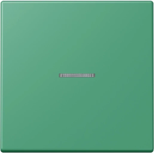Jung LS range Home stuurafdekking LC4320G enkelvoudig Mat BTLC17101250