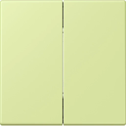 Jung LS range Friends of Hue wandzender 4-kanalen FOHLC995222
