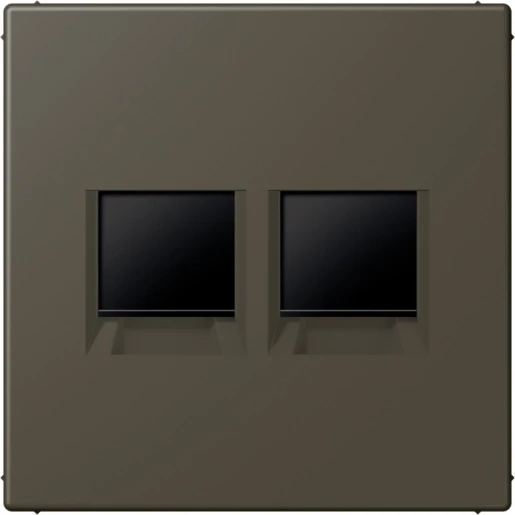 Jung LS range Afdekking centraalplaat AMP Radiall LC32140 Modular-Jack 2 connectoren Zonder label LC1969-2WE241