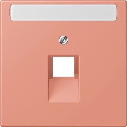 Jung LS range Afdekking centraalplaat LC32111 UAE/IAE 1 connector Met label LC969-1NAUA233