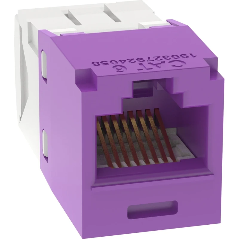 Panduit minijack tx-6+tg paars