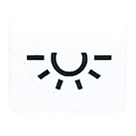 Jung inzetstuk contactdoos alpine wit 500/ap600 licht Symbool "licht" 33LWW