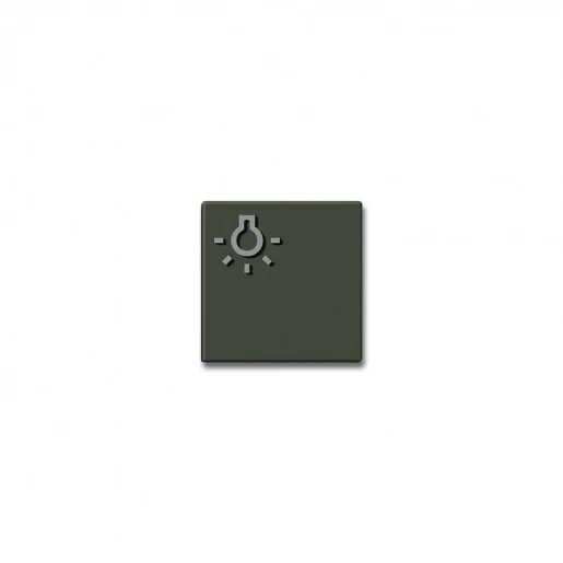 Siedle Lichttoets + lichtsymbool bruin 200029097-00